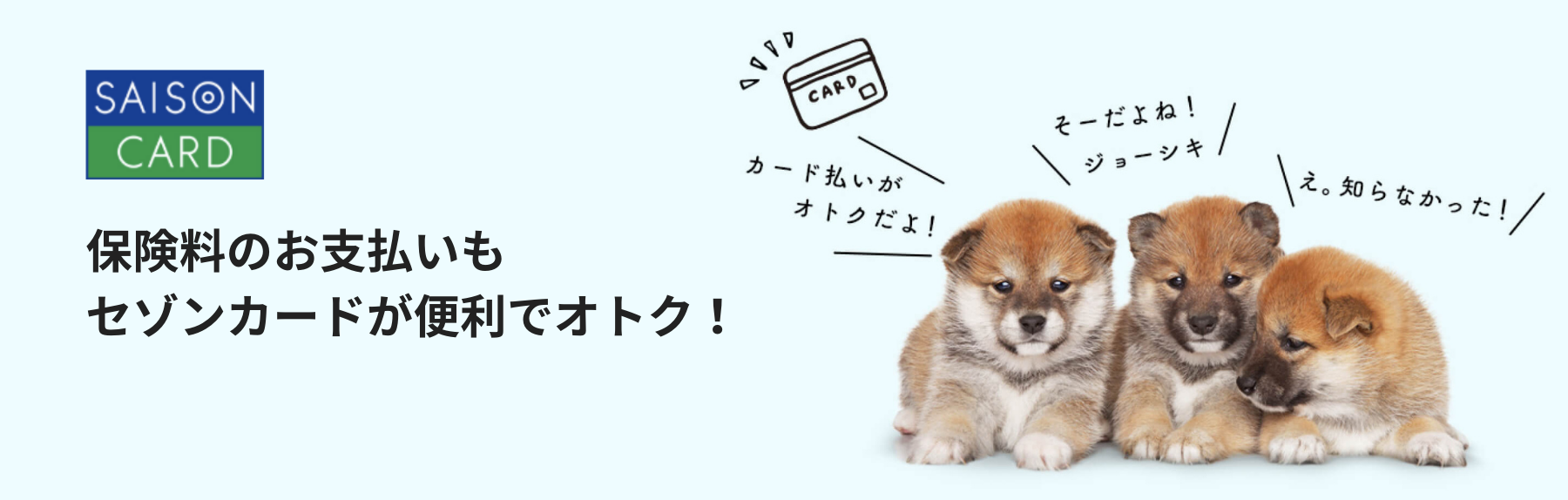 保険料のお支払いもセゾンカードが便利でオトク! 保険料のお支払いもセゾンカードが便利でオトク!