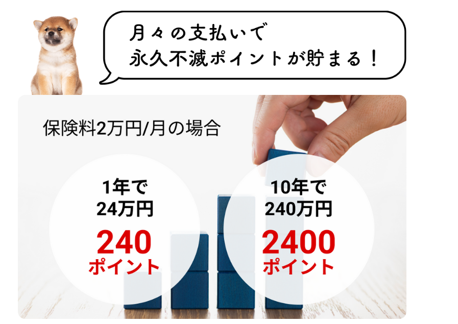 月々の支払いで永久不滅ポイントが貯まる 月々の支払いで永久不滅ポイントが貯まる