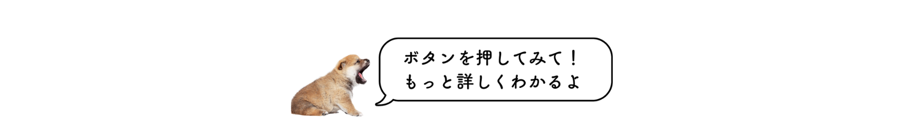 10-pc 10-pc